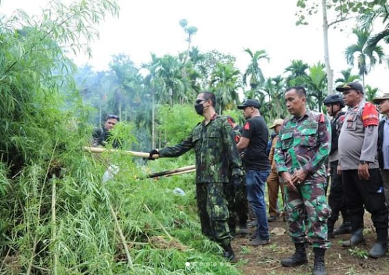 larangan ganja - bacaganja